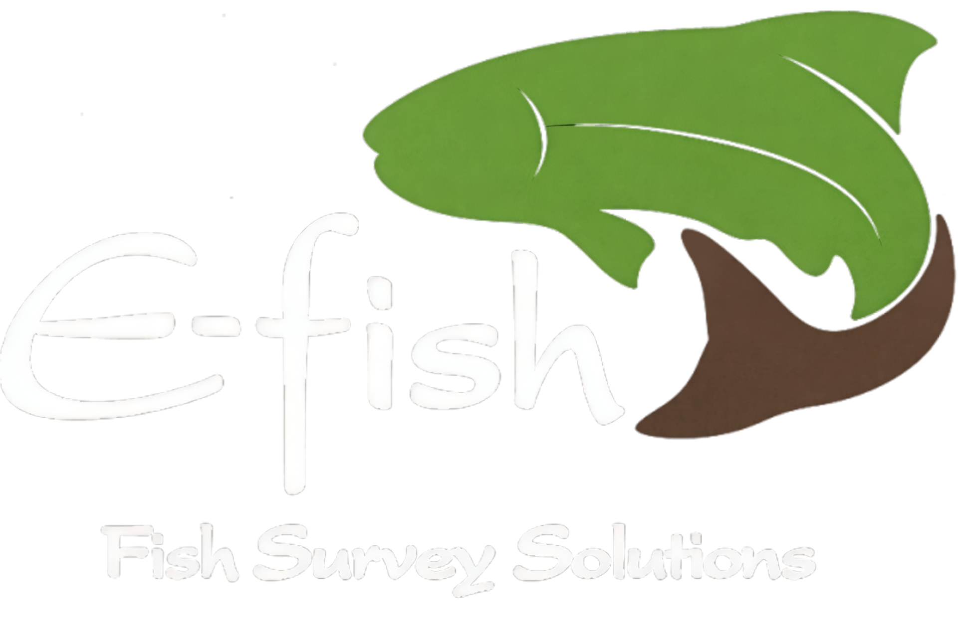 e-fish Fish Survey Solutions logo