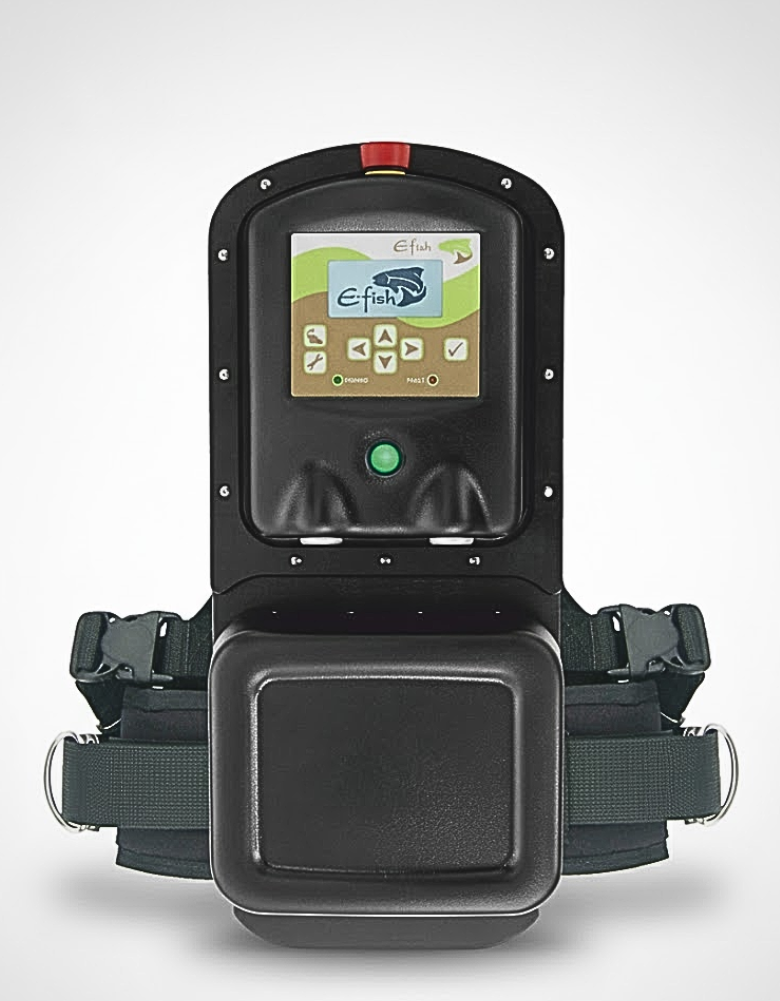 E-Fish 500W